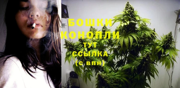 первитин Каменногорск
