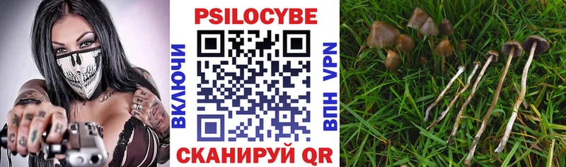 кракен маркетплейс  Инта  Псилоцибиновые грибы MAGIC MUSHROOMS 