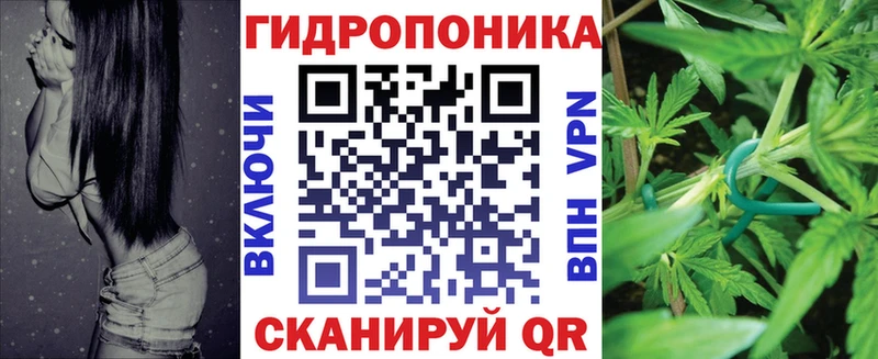 Канабис планчик  Инта 